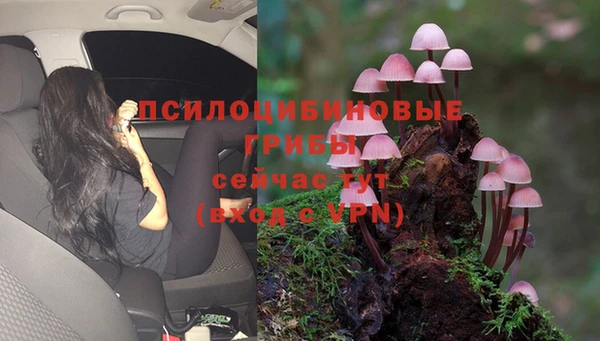 ECSTASY Медногорск