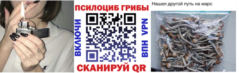 Псилоцибиновые грибы Magic Shrooms  где купить   Фокино 